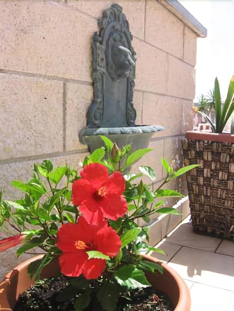 Hotel Garden Viareggio Buitenkant foto